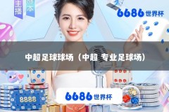 中超足球球场（中超 专业足球场）