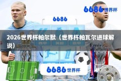 2026世界杯帕尔默（世界杯帕瓦尔进球解说）
