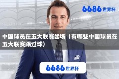 中国球员在五大联赛出场（有哪些中国球员在五大联赛踢过球）