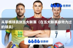 从草根球员到五大联赛（在五大联赛都效力过的球员）
