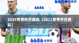2026世界杯巴西组（2021世界杯巴西队）
