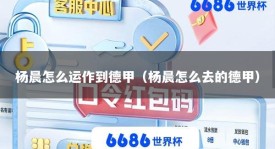 杨晨怎么运作到德甲（杨晨怎么去的德甲）