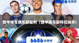 德甲哪支俱乐部盈利（德甲俱乐部所在城市）