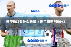 德甲501有什么政策（德甲俱乐部50+1）
