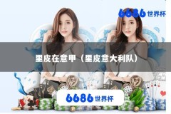 里皮在意甲（里皮意大利队）