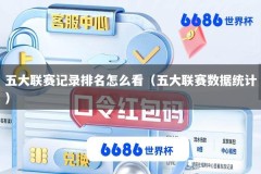 五大联赛记录排名怎么看（五大联赛数据统计）