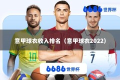 意甲球衣收入排名（意甲球衣2022）