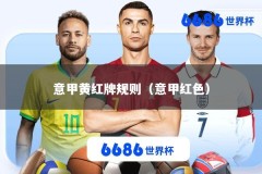 意甲黄红牌规则（意甲红色）