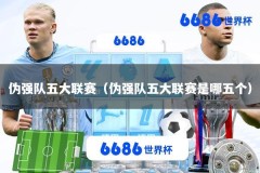 伪强队五大联赛（伪强队五大联赛是哪五个）