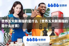 世界五大联赛指的是什么（世界五大联赛指的是什么比赛）