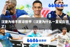 汉堡为啥不原谅德甲（汉堡为什么一直留在德乙）