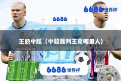 王兢中超（中超裁判王竞哪里人）