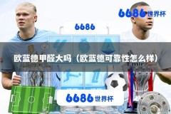 欧蓝德甲醛大吗（欧蓝德可靠性怎么样）