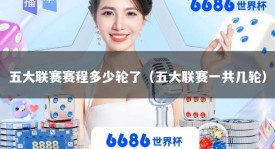 五大联赛赛程多少轮了（五大联赛一共几轮）