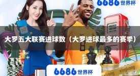 大罗五大联赛进球数（大罗进球最多的赛季）