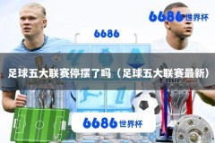 足球五大联赛停摆了吗（足球五大联赛最新）