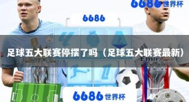 足球五大联赛停摆了吗（足球五大联赛最新）