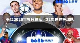 无缘2026世界杯球队（22年世界杯球队）