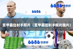 意甲最佳射手照片（意甲最佳射手照片图片）