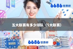 五大联赛有多少球队（5大联赛）